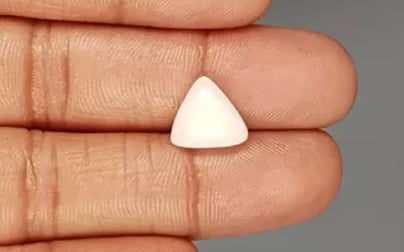 Italian White Coral - 4.52 Carat Limited Quality TWC-22014