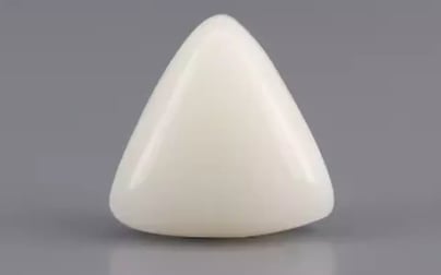 Italian White Coral - 4.52 Carat Limited Quality TWC-22014