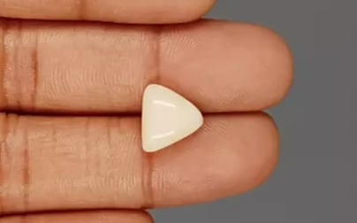 Italian White Coral - 5.04 Carat Limited Quality TWC-22079