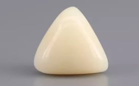 Italian White Coral - 5.04 Carat Limited Quality TWC-22079