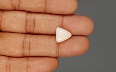 Italian White Coral - 5.23 Carat Limited Quality TWC-22078