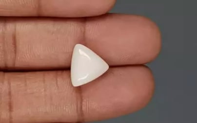 Italian White Coral - 5.55 Carat Limited Quality TWC-22075