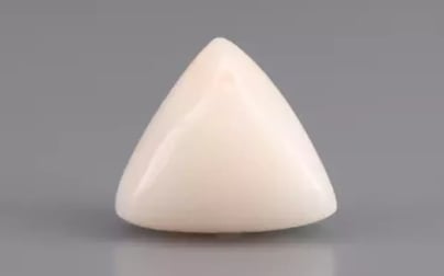 Italian White Coral - 5.55 Carat Limited Quality TWC-22075