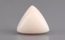 Italian White Coral - 5.55 Carat Limited Quality TWC-22075
