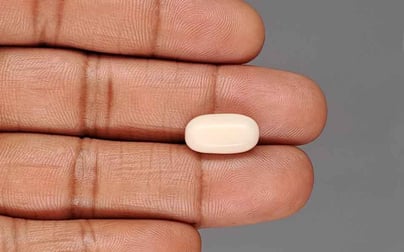 Italian White Coral - 5.56 Carat Rare Quality WC-7638