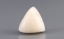 Italian White Coral - 6.07 Carat Limited Quality TWC-22073