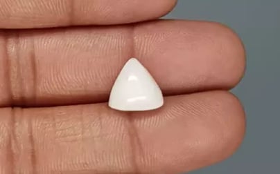 Italian White Coral - 6.65 Carat Limited Quality TWC-22097