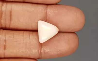 Italian White Coral - 6.72 Carat Limited Quality TWC-22048