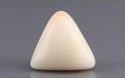 Italian White Coral - 6.72 Carat Limited Quality TWC-22048