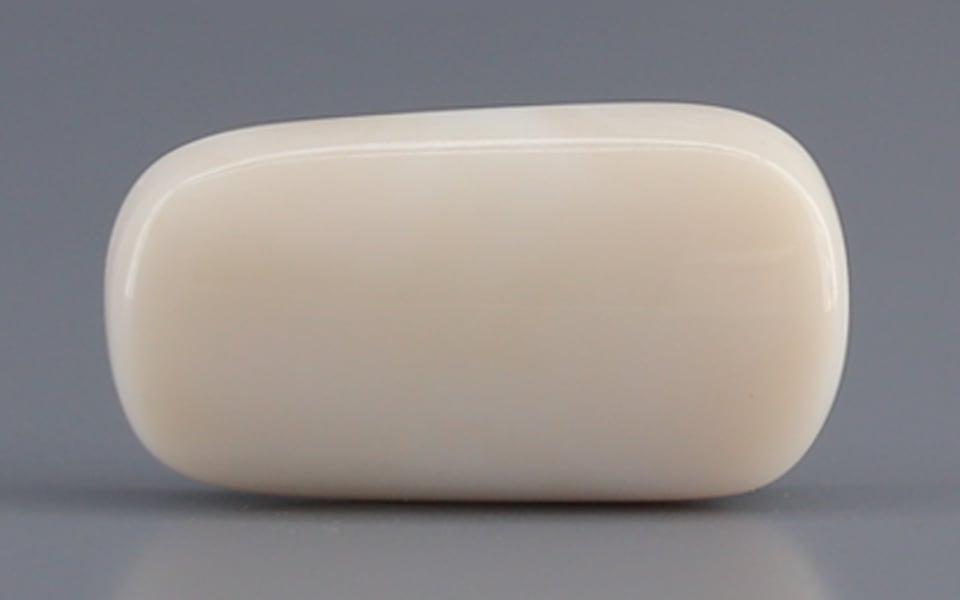 Italian White Coral - 7.2 Carat Prime Quality WC-7609