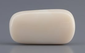 Italian White Coral - 7.2 Carat Prime Quality WC-7609