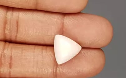 Italian White Coral - 7.39 Carat Limited Quality TWC-22059