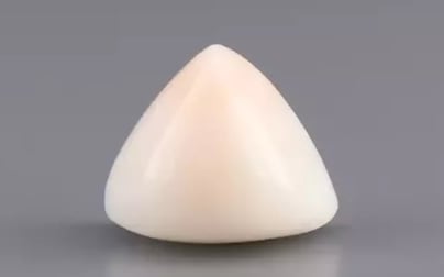Italian White Coral - 7.39 Carat Limited Quality TWC-22059