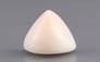 Italian White Coral - 7.39 Carat Limited Quality TWC-22059