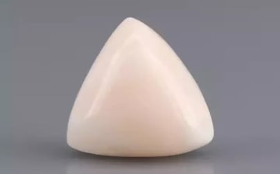 Italian White Coral - 7.67 Carat Limited Quality TWC-22063