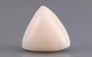 Italian White Coral - 7.67 Carat Limited Quality TWC-22063