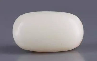 Italian White Coral - 7.75 Carat Limited Quality WC-7635