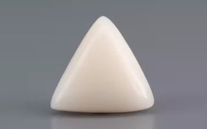 Italian White Coral - 7.96 Carat Limited Quality TWC-22067