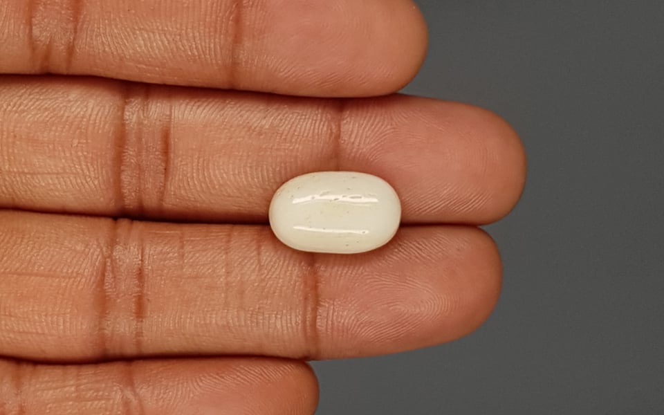 Italian White Coral - 8.09 Carat Prime Quality WC-7610