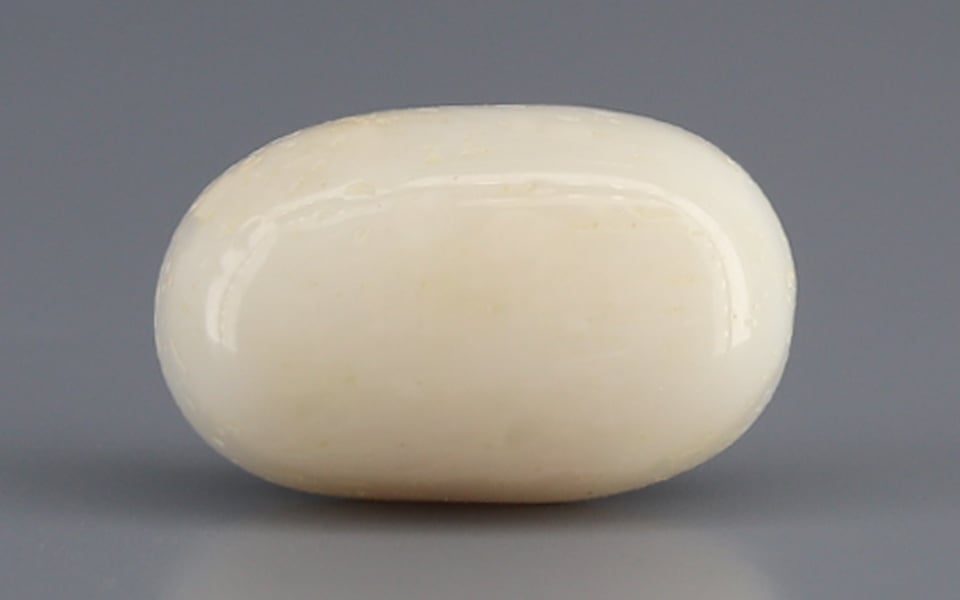 Italian White Coral - 8.09 Carat Prime Quality WC-7610