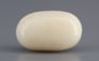 Italian White Coral - 8.09 Carat Prime Quality WC-7610