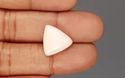 Italian White Coral - 8.18 Carat Limited Quality TWC-22051