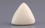 Italian White Coral - 8.18 Carat Limited Quality TWC-22051