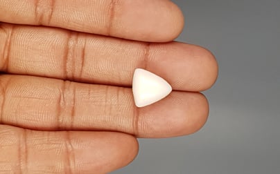 Italian White Coral - 8.29 Carat Rare Quality TWC-22040