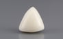 Italian White Coral - 8.29 Carat Rare Quality TWC-22040