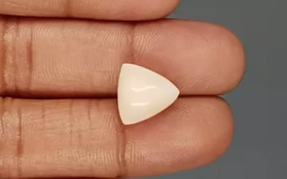 Italian White Coral - 8.34 Carat Limited Quality TWC-22055