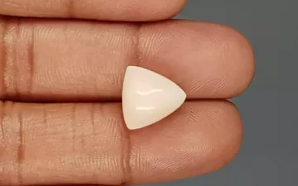 Italian White Coral - 8.34 Carat Limited Quality TWC-22055