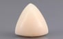 Italian White Coral - 8.34 Carat Limited Quality TWC-22055