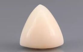 Italian White Coral - 8.34 Carat Limited Quality TWC-22055