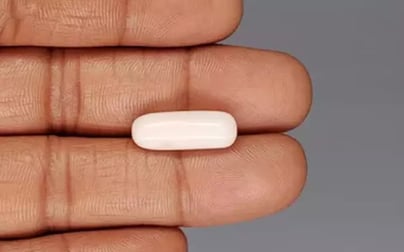 Italian White Coral - 8.41 Carat Limited Quality WC-7627