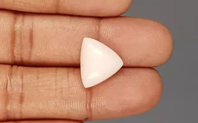 Italian White Coral - 8.43 Carat Limited Quality TWC-22054