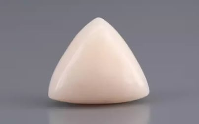 Italian White Coral - 8.43 Carat Limited Quality TWC-22054