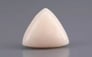 Italian White Coral - 8.43 Carat Limited Quality TWC-22054