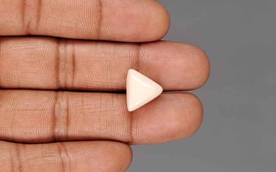 Italian White Coral - 8.43 Carat Rare Quality TWC-22101