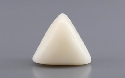 Italian White Coral - 8.43 Carat Rare Quality TWC-22101