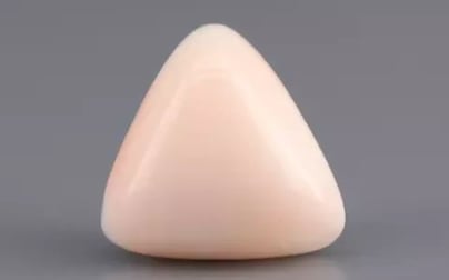 Italian White Coral - 8.45 Carat Limited Quality TWC-22066