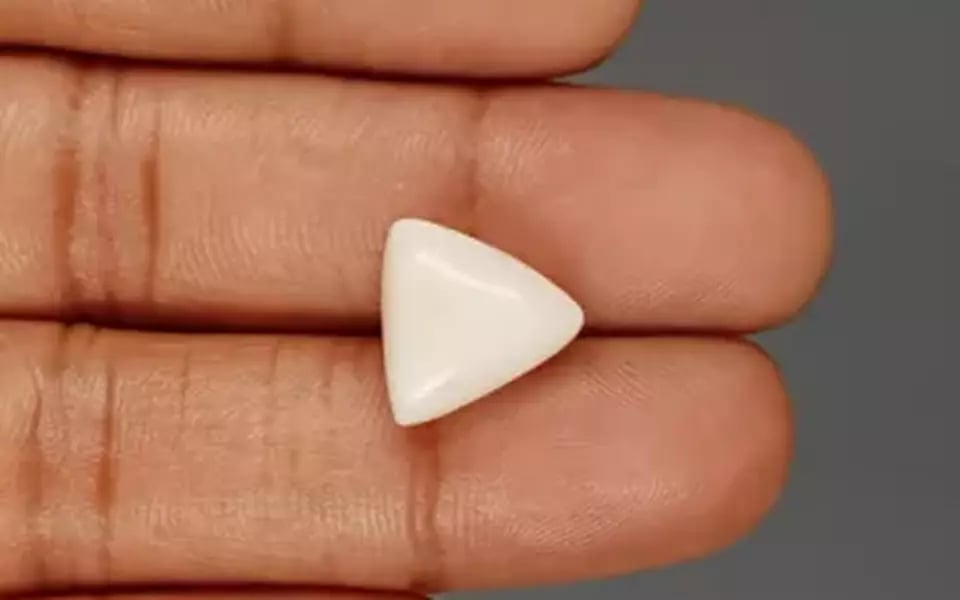 Italian White Coral - 8.51 Carat Limited Quality TWC-22068