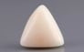 Italian White Coral - 8.51 Carat Limited Quality TWC-22068