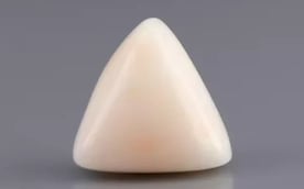Italian White Coral - 8.51 Carat Limited Quality TWC-22068