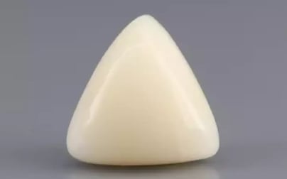 Italian White Coral - 8.69 Carat Limited Quality TWC-22052