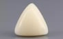 Italian White Coral - 8.69 Carat Limited Quality TWC-22052