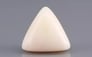 Italian White Coral - 9.09 Carat Limited Quality TWC-22053