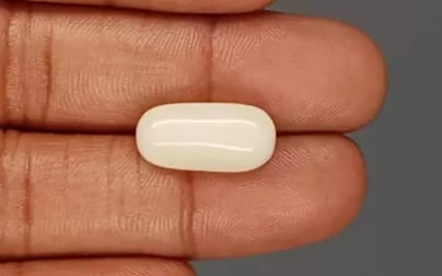 Italian White Coral - 9.12 Carat Prime Quality WC-7607