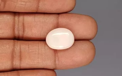 Italian White Coral - 9.31 Carat Limited Quality WC-7632