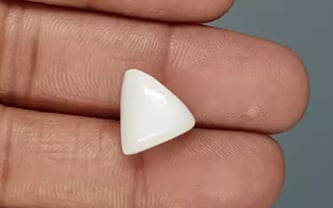 Italian White Coral - 9.33 Carat Limited Quality TWC-22094