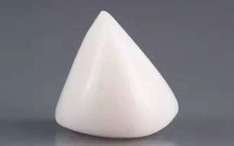 Italian White Coral - 9.33 Carat Limited Quality TWC-22094